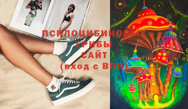 дживик Пересвет