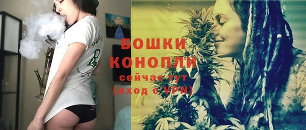 PSILOCYBIN Балахна