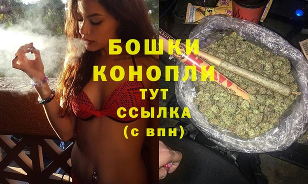 PSILOCYBIN Балахна